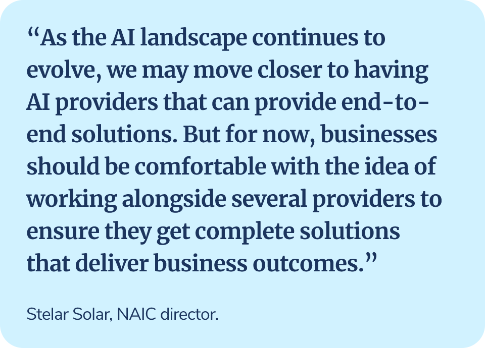 Stelar Solar, NAIC director