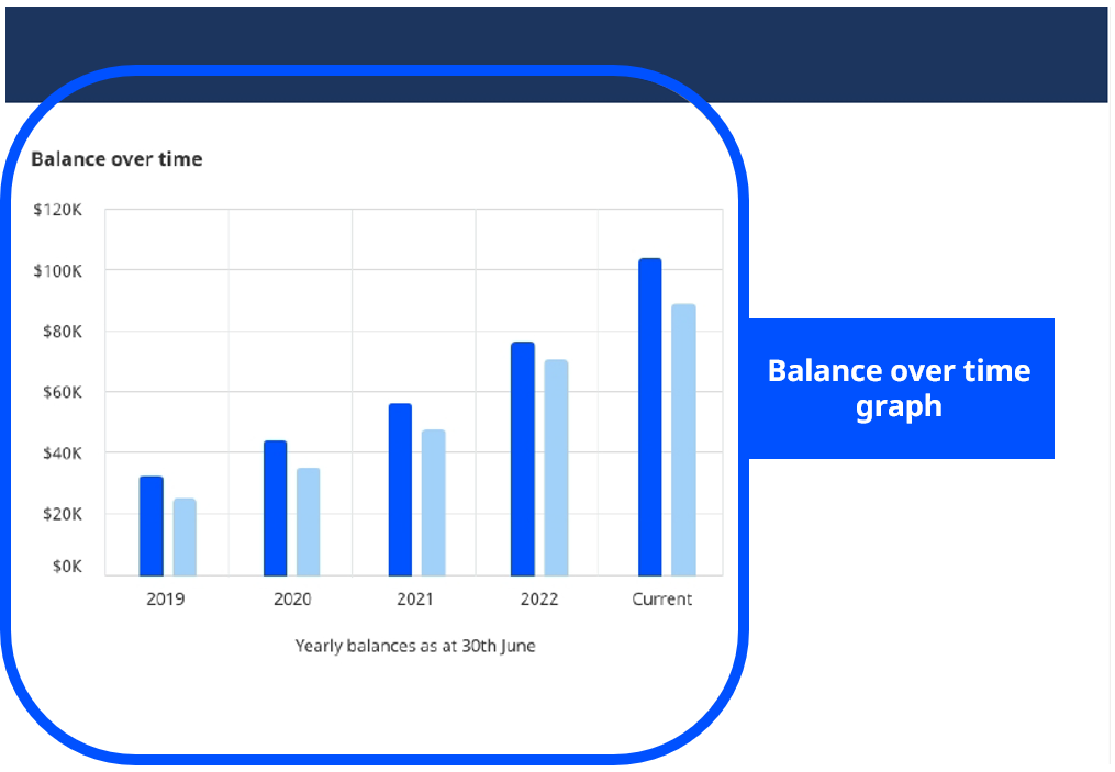 Balance over time graph screen image